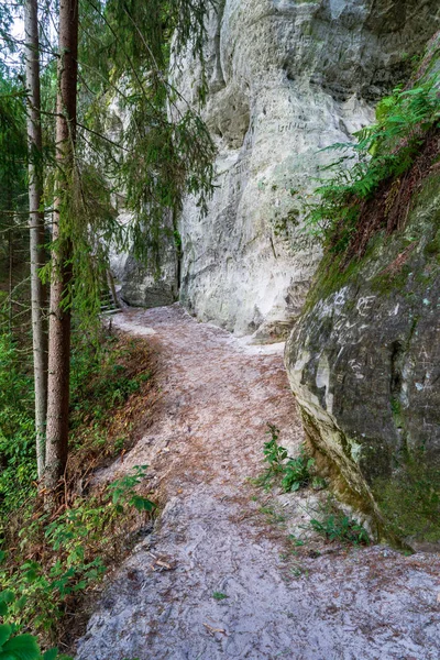 観光歩道と砂岩の崖付近のラトビア ガウヤ川 — ストック写真
