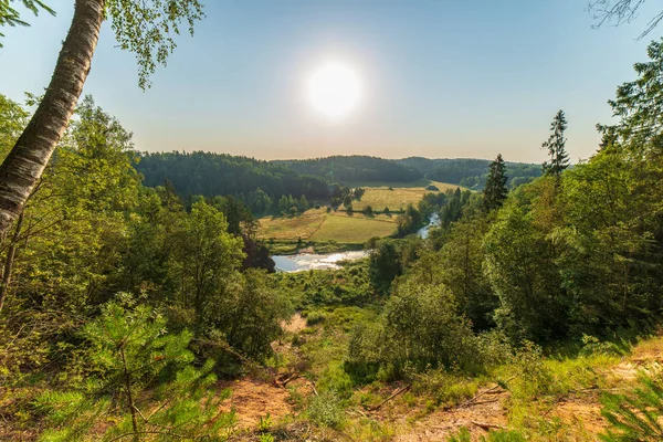 Rio Ondulado Floresta Verão Verde Tempo Ensolarado Rio Amata Letónia — Fotografia de Stock