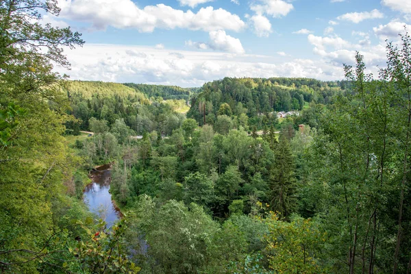 view from above of wavy river in woods in green summer, Amata river, Latvia