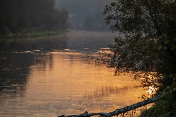 夏天五颜六色的日落在高亚河在森林在拉脱维亚 — 图库照片
