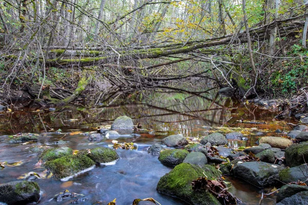 Rocas Agua Del Arroyo Otoño Bosque — Foto de Stock