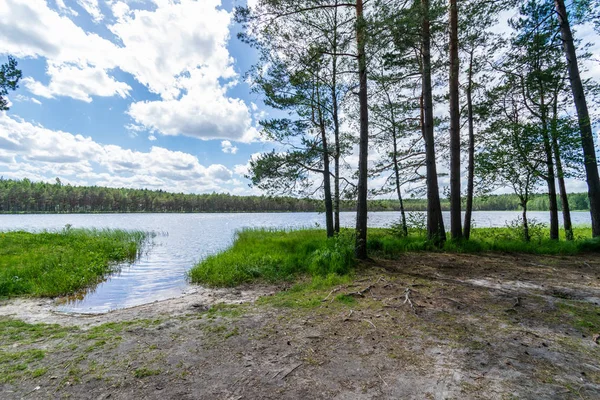 Пейзаж Красивого Озера Летней Сельской Местности — стоковое фото