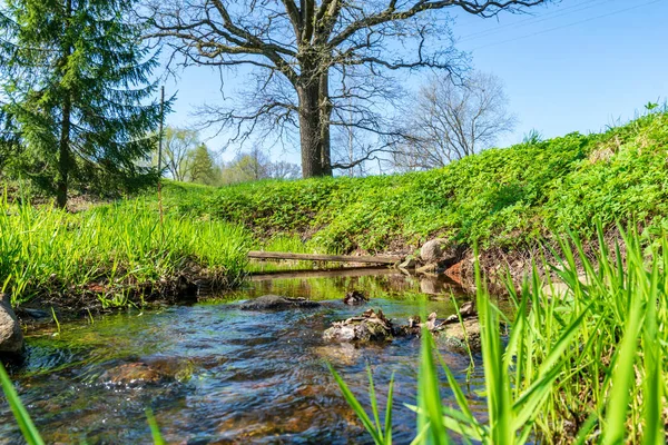 small river with green vegetation on shores in sunny weather