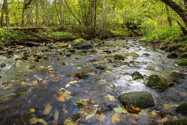 Rochas Rio Vegetação Verde Nas Margens Verão — Fotografia de Stock