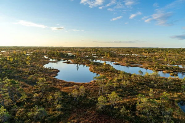 landscape of swamp area in sunny weather