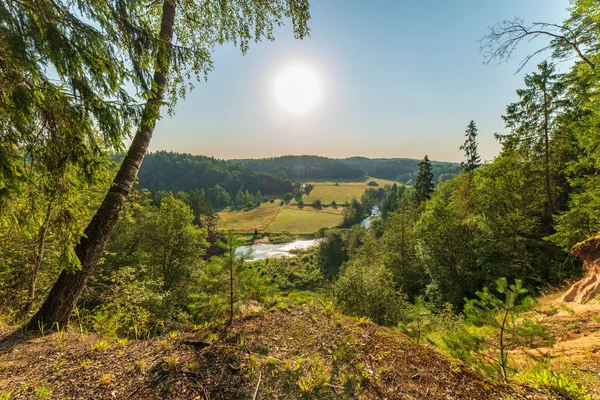 Rio Ondulado Floresta Verão Verde Tempo Ensolarado Rio Amata Letónia — Fotografia de Stock