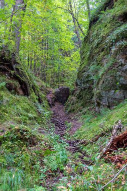 Gauja Nehri, Letonya yaz kumtaşı kayalıklardan yakınındaki