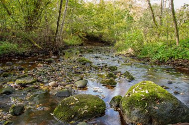 nehir ve yeşil bitki örtüsü kıyısında yaz aylarında kayalarda