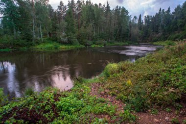 gün batımında yeşil yeşillik, ağaçlar ve çim dramatik gökyüzü altında kıyısında yaz aylarında göl