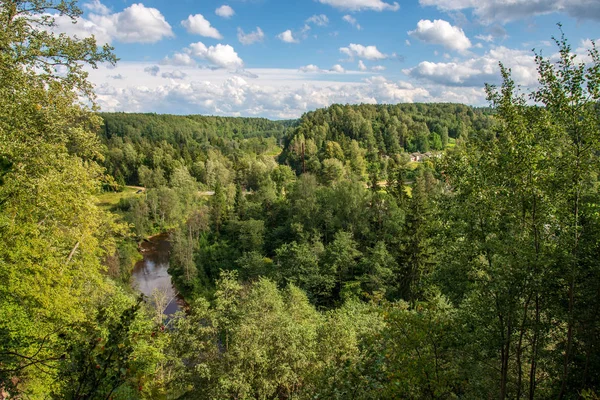 Visa Från Ovan Vågig Mynning Skogen Gröna Sommaren Amata Floden — Stockfoto