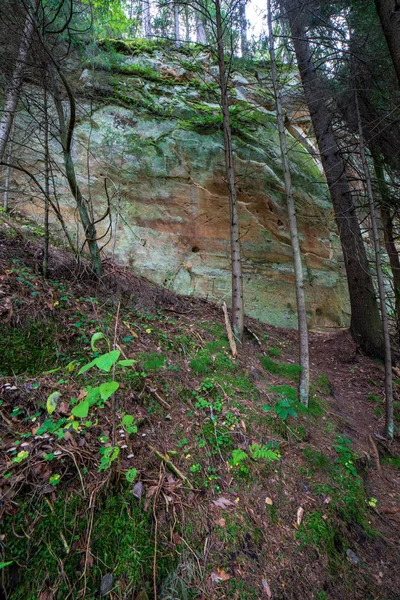 Falaises Grès Dans Les Bois Été Près Rivière Gauja Lettonie — Photo