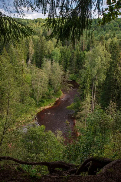 波浪河与砂岩海岸在森林在绿色夏天 阿马塔河 拉脱维亚 — 图库照片