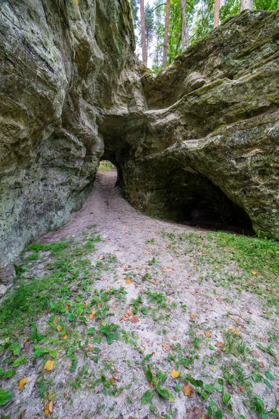 拉脱维亚高亚河附近的夏林中的砂岩悬崖 — 图库照片