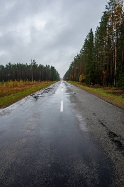 ıslak asfalt yol kırsal perspektifte işaretleri ve işaretler, her iki tarafta yeşil orman bulutlu gökyüzü altında