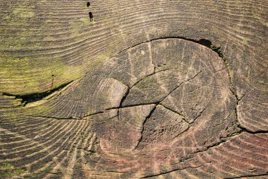 arka plan gri kuru ahşap tahta