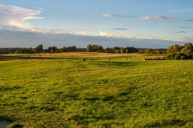 yeşil yaz alan kırsal kesimde gökyüzü altında
