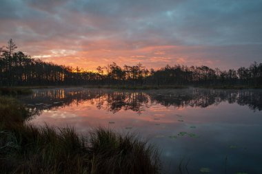 geç akşam güneşi bataklık göller üzerinde yansımaları sakin su ağaçları ile yaz aylarında