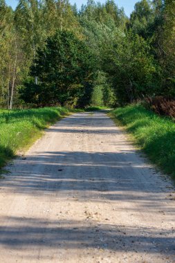 Dar asfalt yol kırsal perspektif içinde