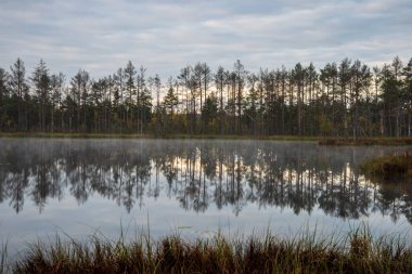 geç akşam güneşi bataklık göller üzerinde yansımaları sakin su ağaçları ile yaz aylarında