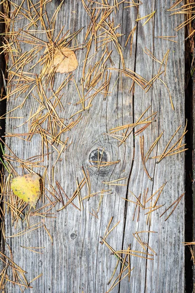 Fondo Vieja Tabla Madera Seca Con Hojas Otoño Agujas Pino — Foto de Stock