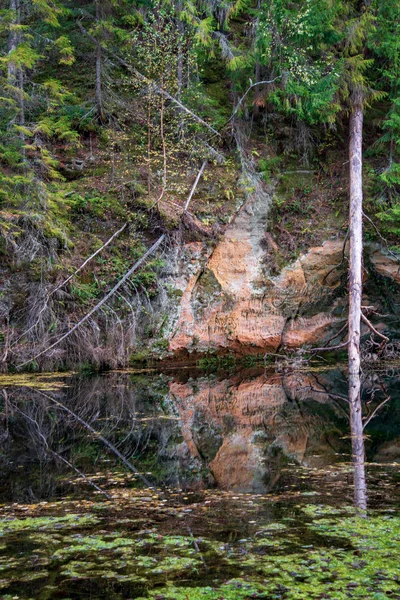 Ruhige Wasseroberfläche Mit Grünem Laub Vegetation Und Roten Sandsteinklippen Fluss — Stockfoto