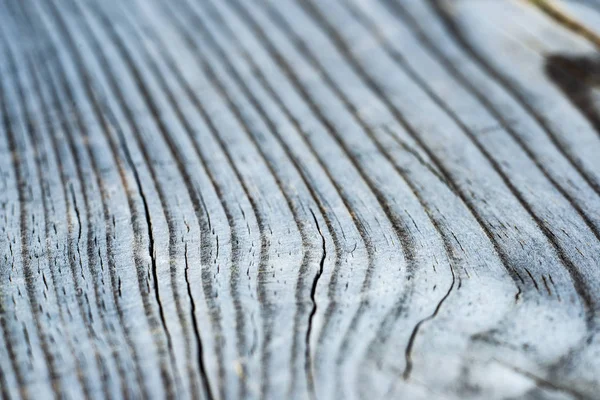 Sfondo Tavoletta Legno Grigio Secco — Foto Stock