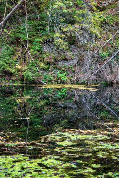 Спокойная Водная Поверхность Зеленой Листвой Растительностью Красными Скалами Песчаника Река — стоковое фото