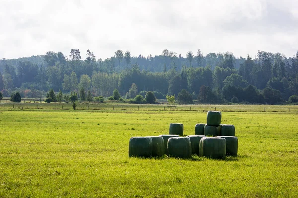 Rullar Gröna Fältet Molnig Himmel Landsbygden Lettland — Stockfoto