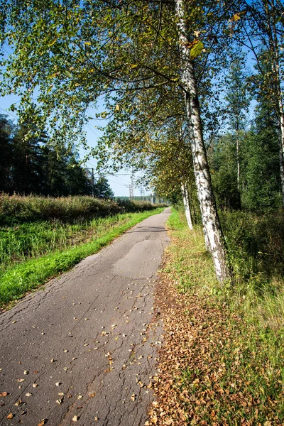 Strada Asfaltata Stretta Prospettiva Campagna — Foto Stock