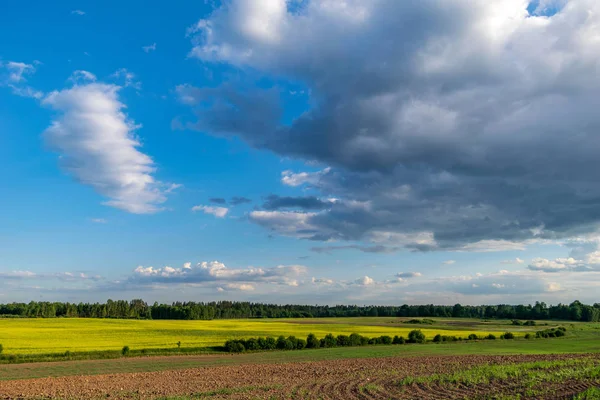 Grüne Sommerwiese Unter Blauem Himmel Mit Wolken Grünen — Stockfoto