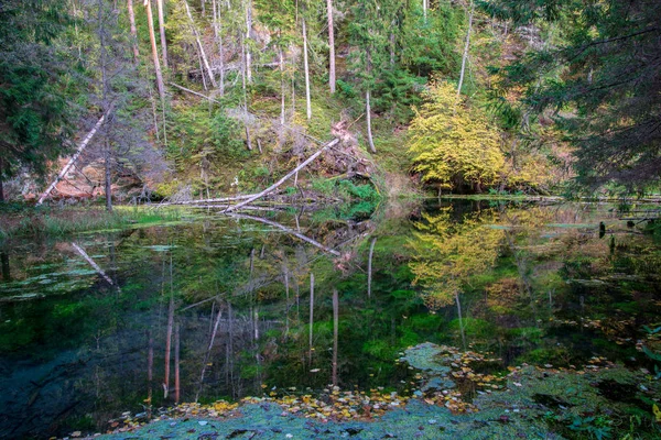 Surface Eau Calme Avec Feuillage Vert Végétation Falaises Grès Rouge — Photo