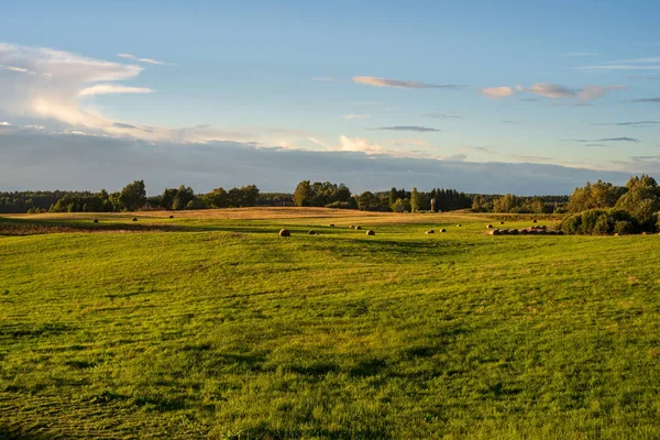 Зеленое Летнее Поле Небом Сельской Местности — стоковое фото