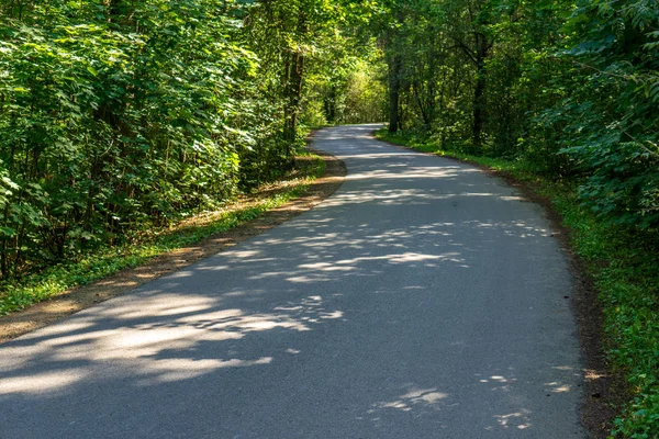 Golvende Asfaltweg Bos Zomer — Stockfoto