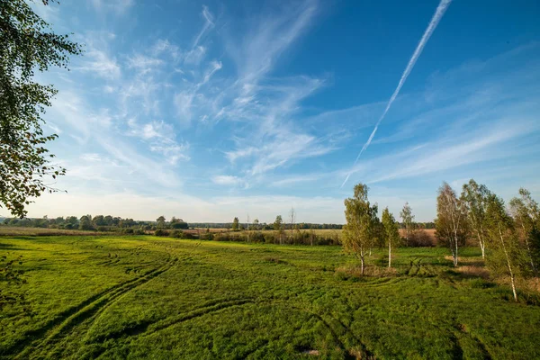 yeşil yaz alan kırsal kesimde gökyüzü altında