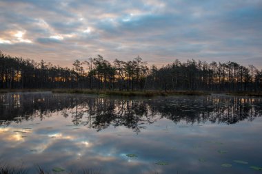 geç akşam güneşi bataklık göller üzerinde yansımaları sakin su ağaçları ile yaz aylarında