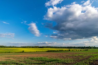 yeşil yaz alan bulutlar kırsal kesimde ile mavi gökyüzü altında