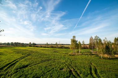 yeşil yaz alan kırsal kesimde gökyüzü altında