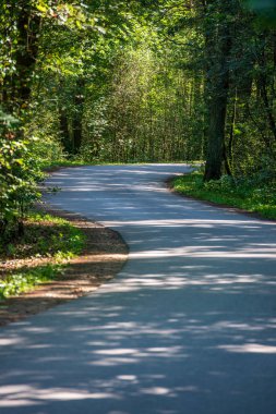 Yaz aylarında ormandaki dalgalı yol asfalt