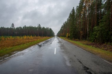 ıslak asfalt yol kırsal perspektifte işaretleri ve işaretler, her iki tarafta yeşil orman bulutlu gökyüzü altında