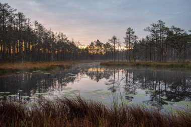 geç akşam güneşi bataklık göller üzerinde yansımaları sakin su ağaçları ile yaz aylarında