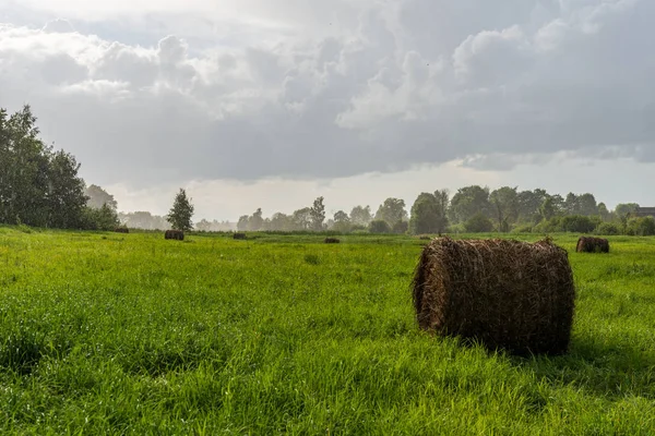 Rolos Feno Campo Verde Abaixo Céu Nublado Campo Letônia — Fotografia de Stock