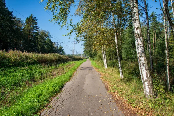 Narrow Asphalt Road Countryside Perspective — Stock Photo, Image