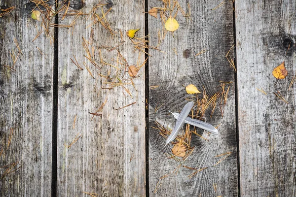与秋天的叶子和松针的老干燥木板的背景 — 图库照片