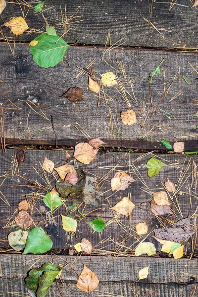 Hintergrund Aus Alten Trockenen Holzplanken Mit Herbstblättern Und Tannennadeln — Stockfoto