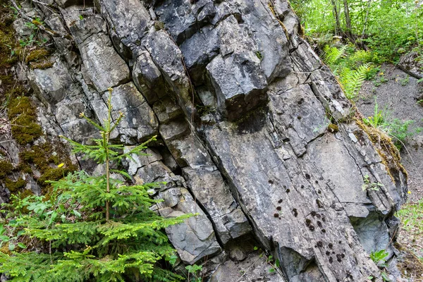 Old Ruined Stone Wall Nature — Stock Photo, Image