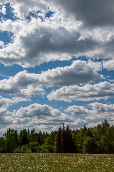 Beautiful Blue Sky Clouds Summer Landscape — Stock Photo, Image