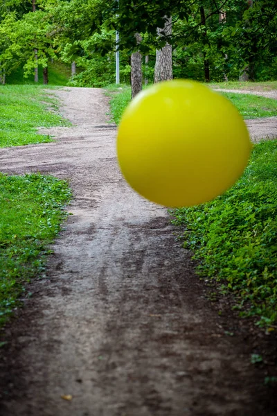 yellow balloon rolling in green summer forest pathways