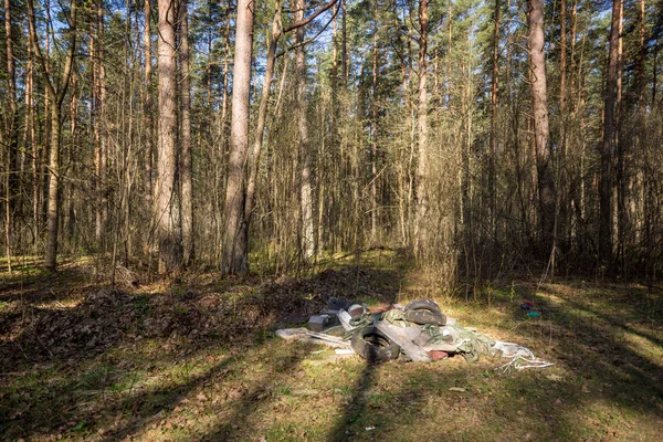 Cumulo Spazzatura Nella Soleggiata Foresta Sempreverde — Foto Stock