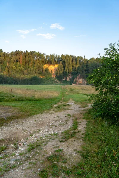 Sentier Pédestre Touristique Gravier Campagne Avec Forêt Verte Arrière Plan — Photo