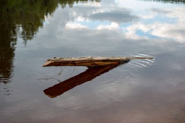 göl sakin suda ahşap günlüğü